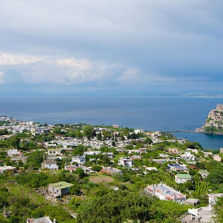 La Capannina - Hotel & Apartments Ischia Exterior foto