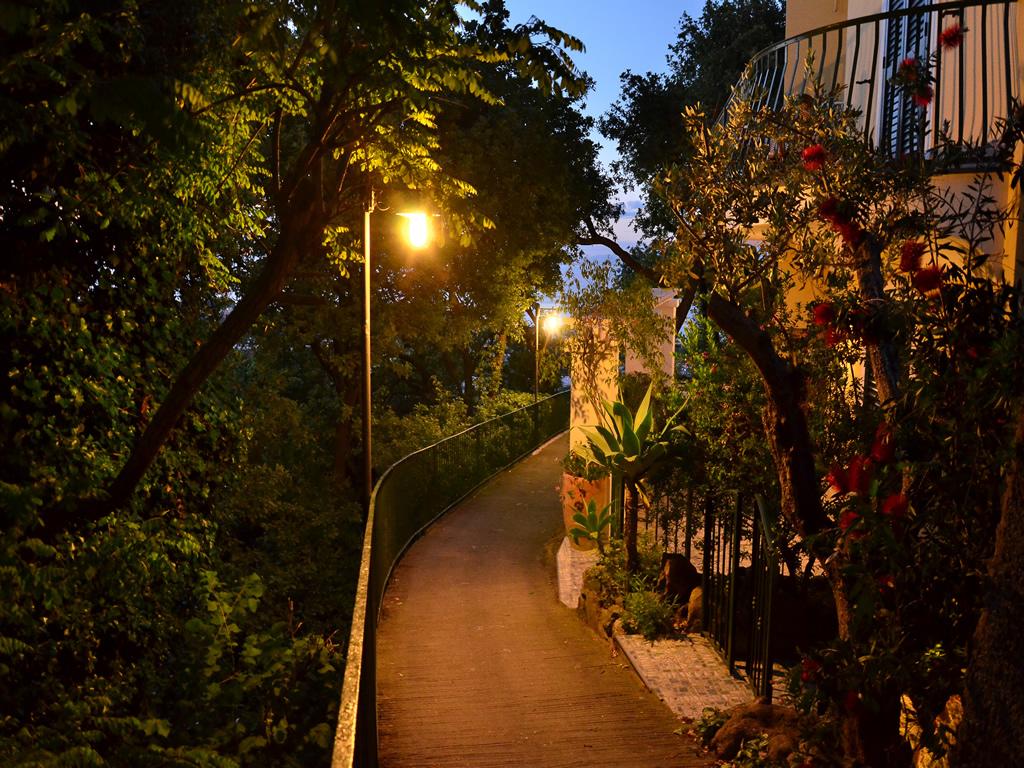 La Capannina - Hotel & Apartments Ischia Exterior foto