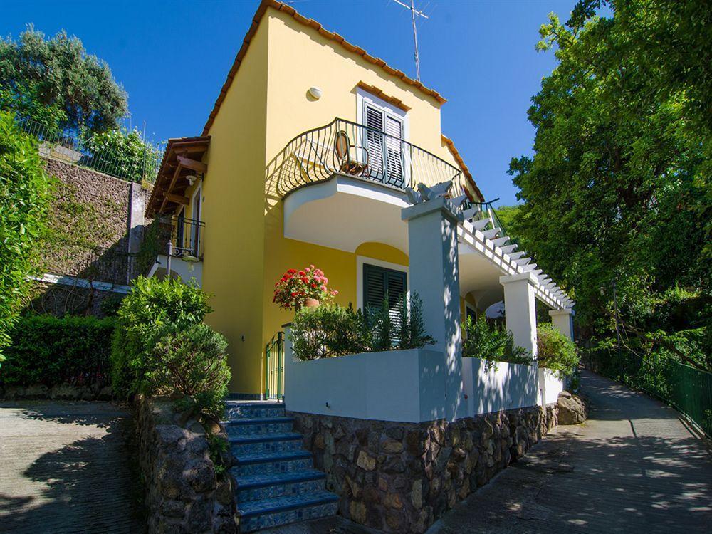 La Capannina - Hotel & Apartments Ischia Exterior foto